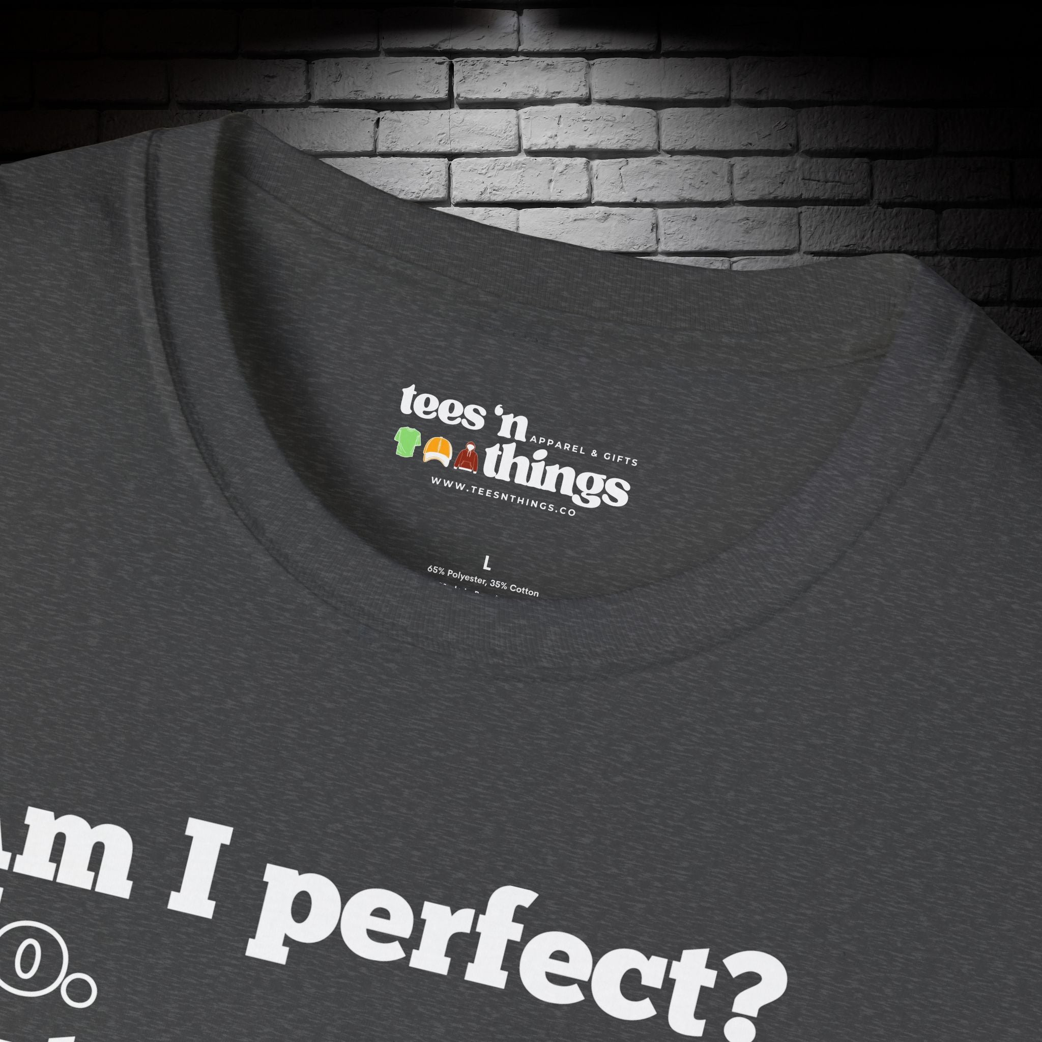 "Am I Perfect?..." T-Shirt