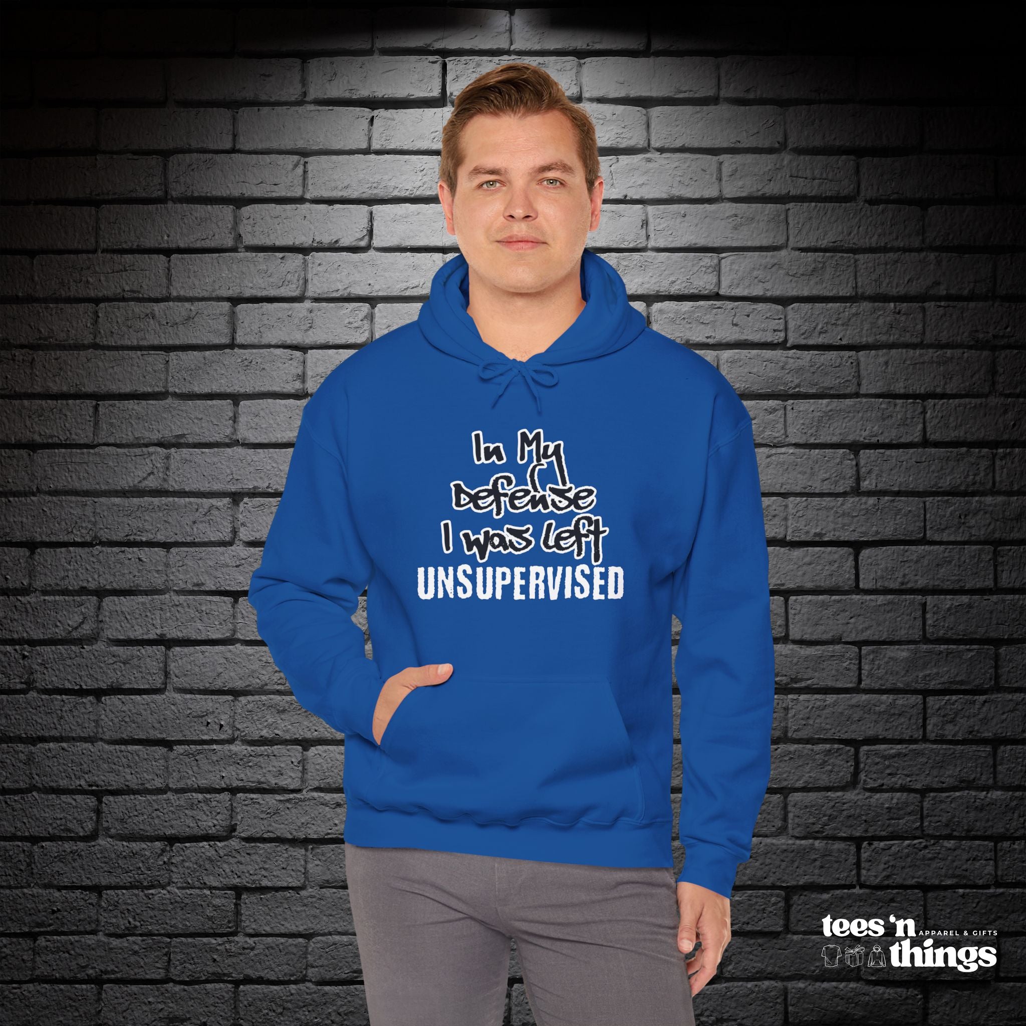 "In My Defense..." Hoodie