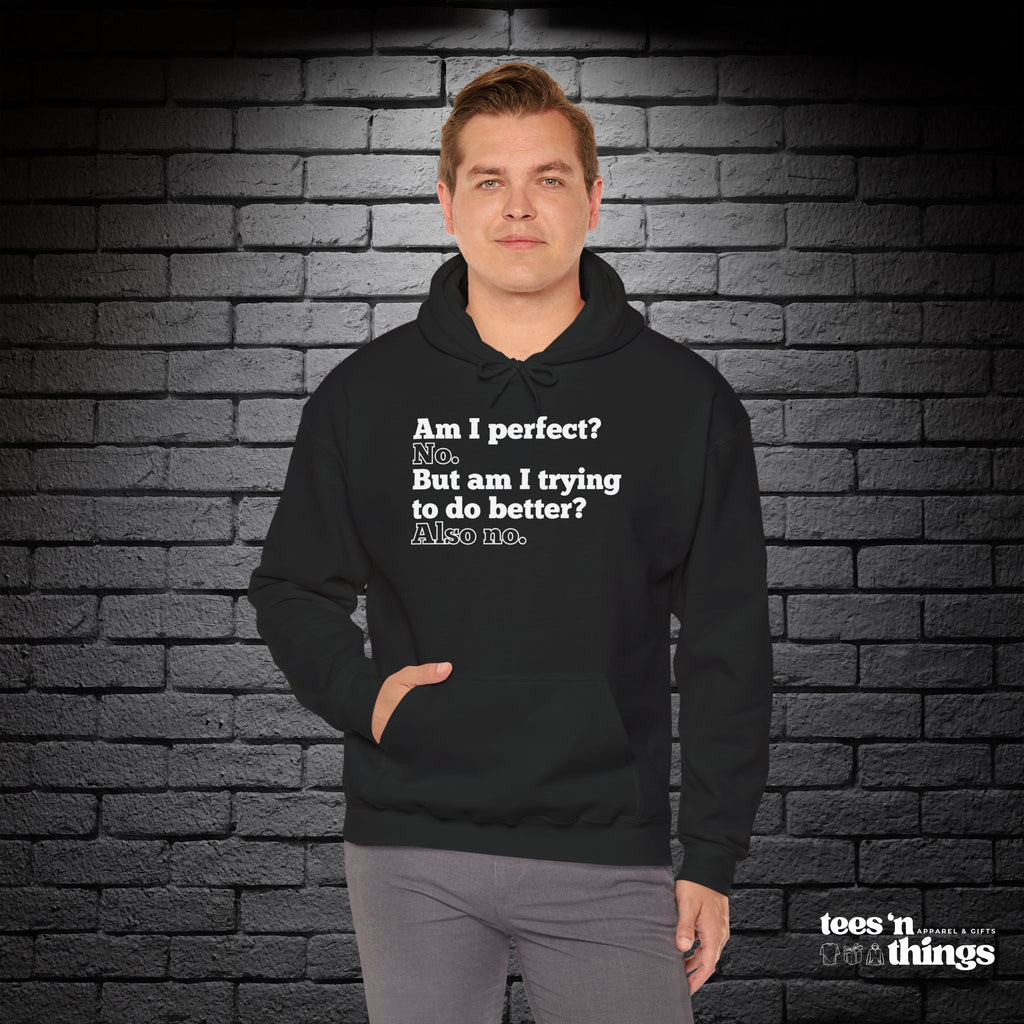 "Am I Perfect...?" Hoodie