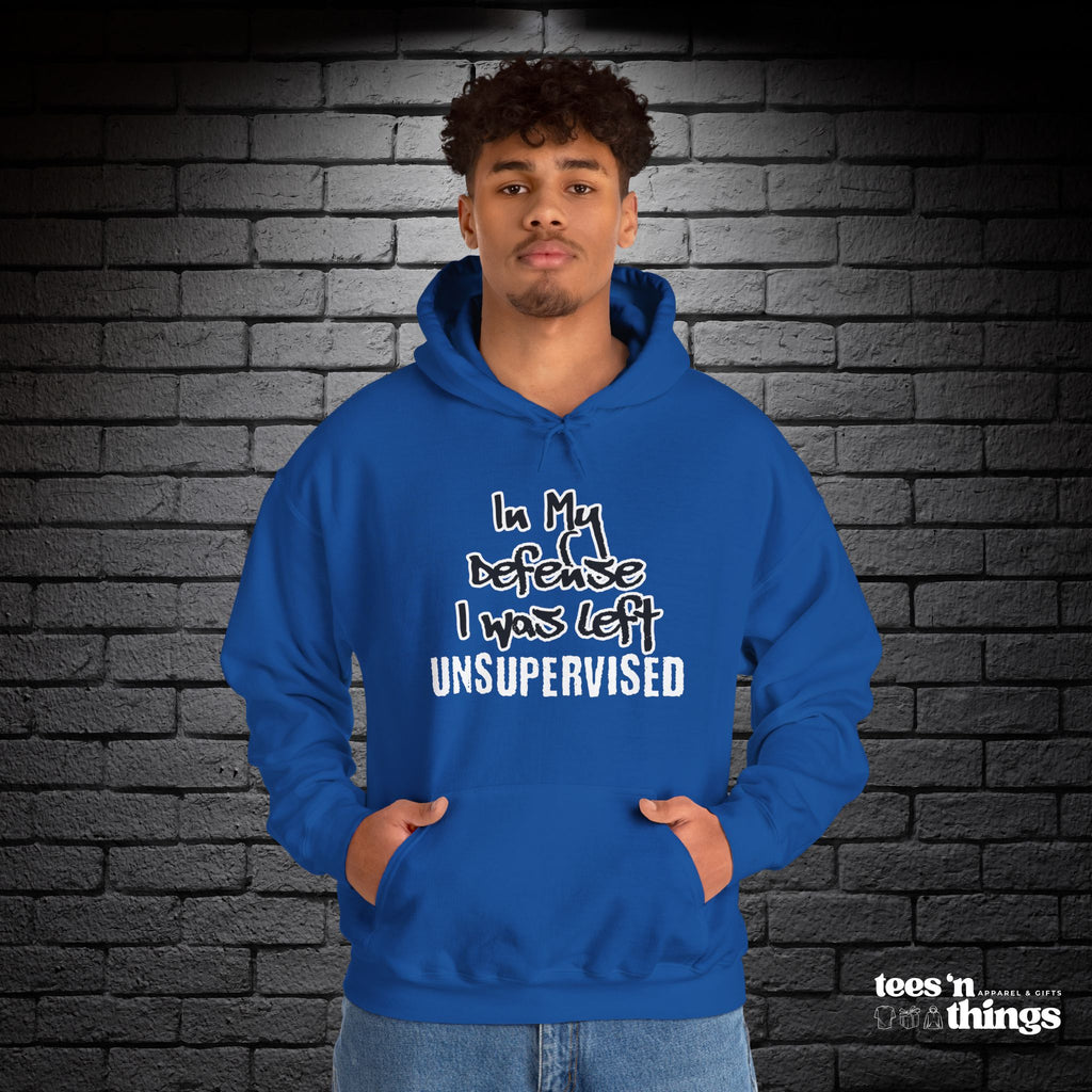 "In My Defense..." Hoodie