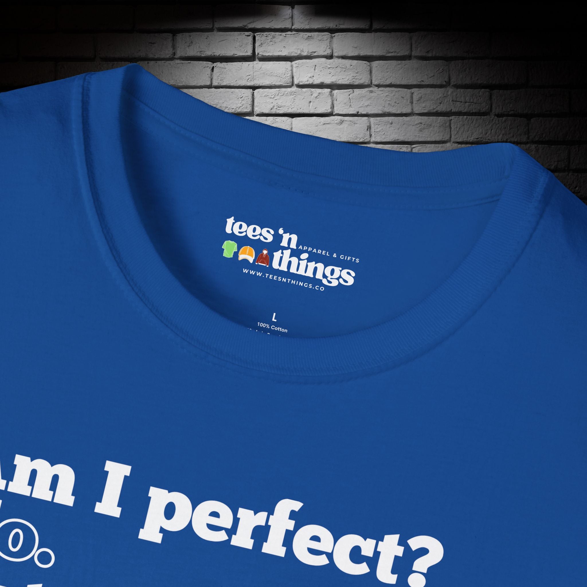 "Am I Perfect?..." T-Shirt