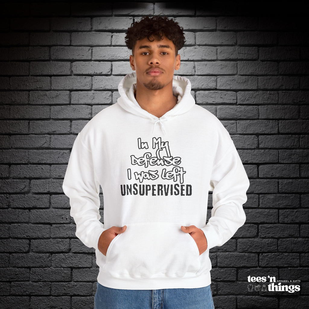 "In My Defense..." Hoodie