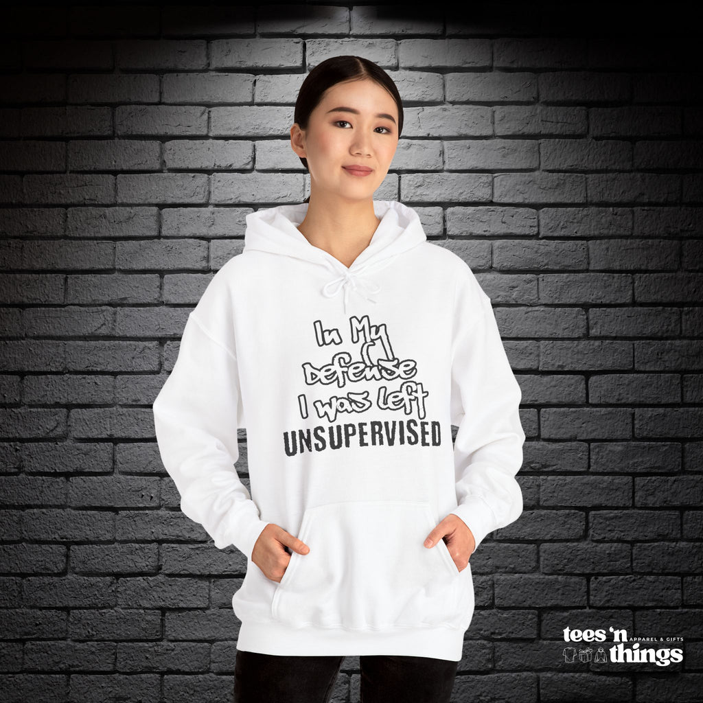 "In My Defense..." Hoodie