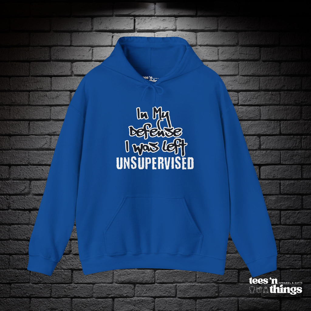 "In My Defense..." Hoodie