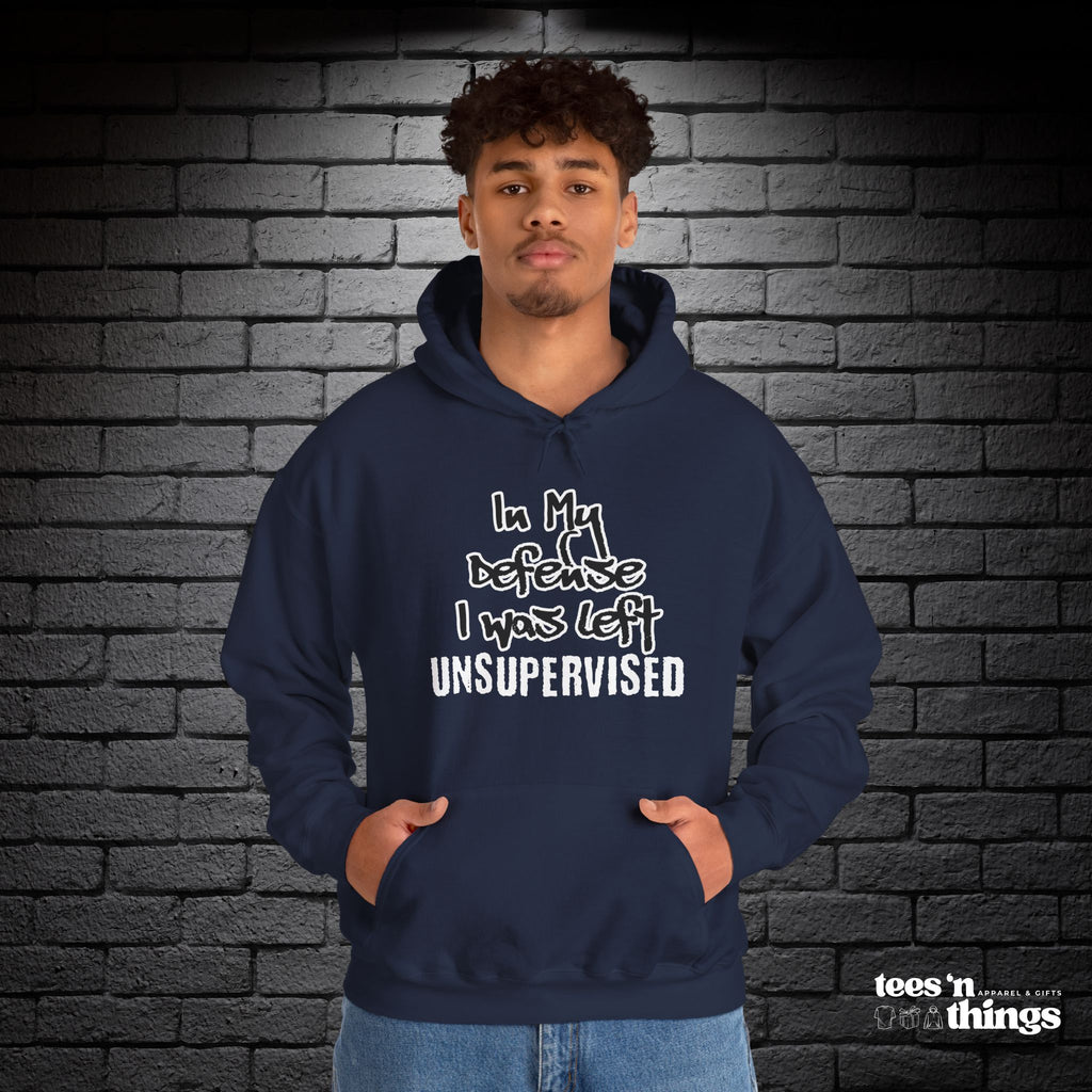 "In My Defense..." Hoodie