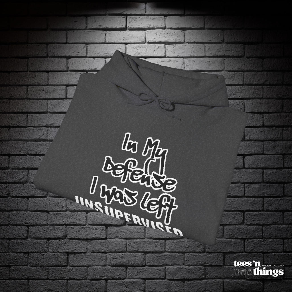 "In My Defense..." Hoodie
