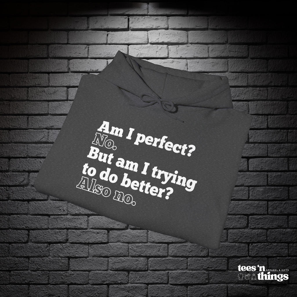 "Am I Perfect...?" Hoodie