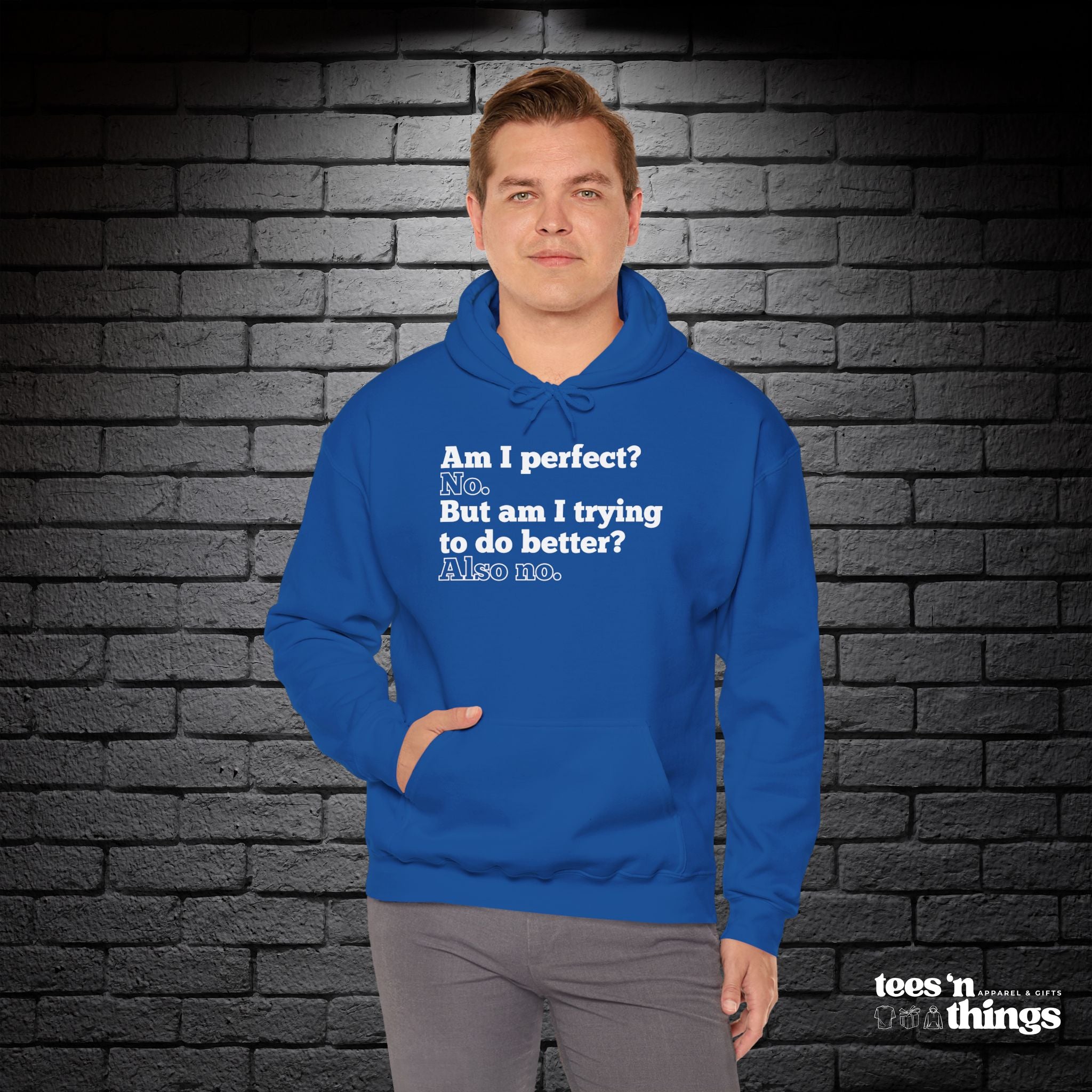"Am I Perfect...?" Hoodie