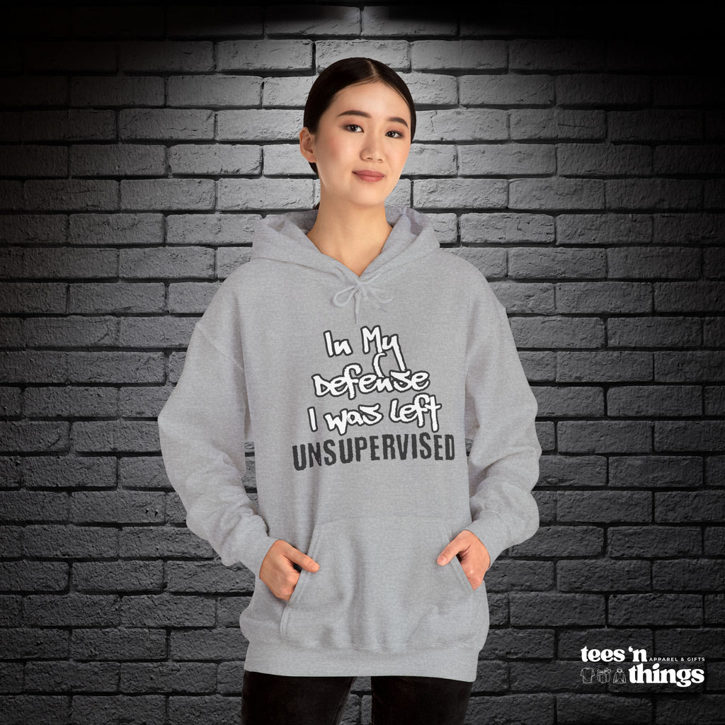 "In My Defense..." Hoodie