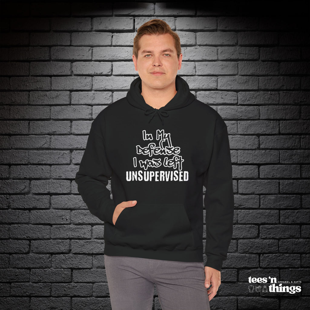 "In My Defense..." Hoodie