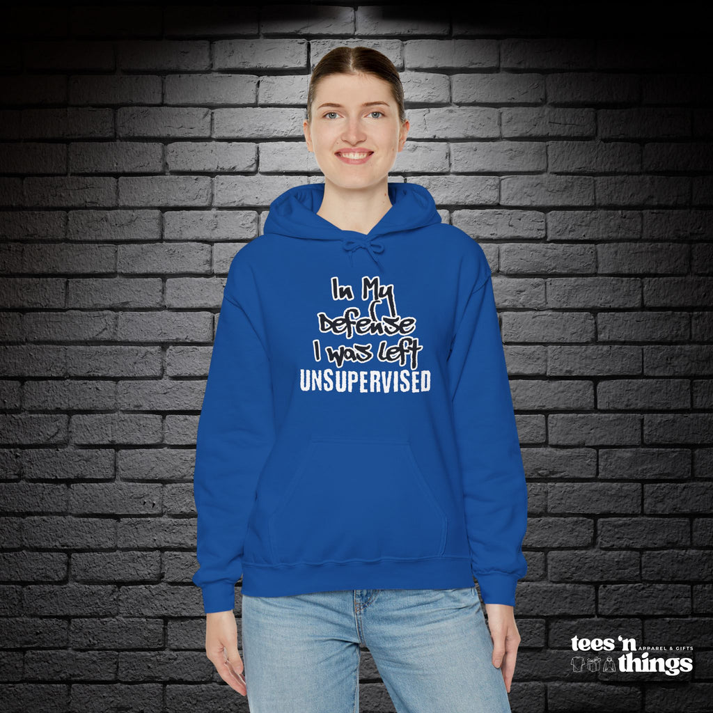 "In My Defense..." Hoodie