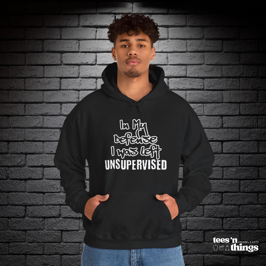 "In My Defense..." Hoodie