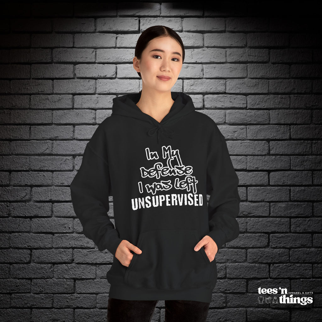 "In My Defense..." Hoodie